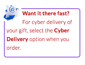 Name a Binary Star dedication page